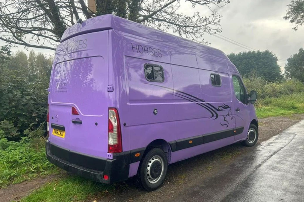 Horse Van For Sale - Long Wheel Base High Top